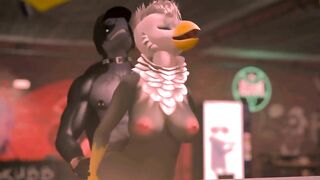 Furry Bar Fuck BirdxSnake (SL Yiff Video)