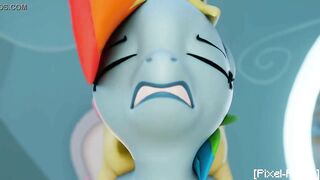 Rainbow Dash Fluttershy Futa