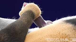 Wolf give handjob to another wolf HD by ISAL_3D