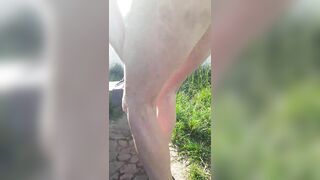 Hot crazy girl naked swinging in Flemish Fields smashing the camera