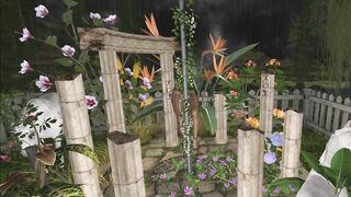 Pantyhose Dancing in Moonlight