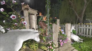 Pantyhose Dancing in Moonlight