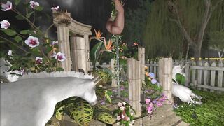 Pantyhose Dancing in Moonlight