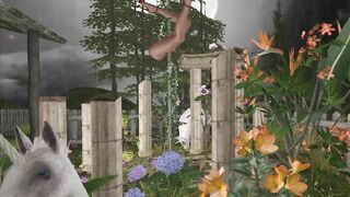 Pantyhose Dancing in Moonlight