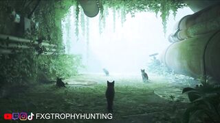 A Little Chatty - Stray - Trophy / Achievement Guide