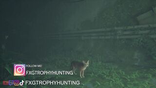 A Little Chatty - Stray - Trophy / Achievement Guide