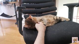 Furry pussy loves to bite you .... It grabs you and won't let go.