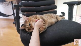Furry pussy loves to bite you .... It grabs you and won't let go.