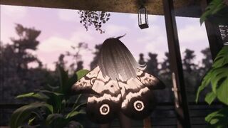A Moth's New Toy ~ VR Teaser