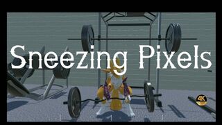 Sneezing Pixels making New Years Gains
