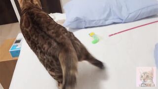 Playing with pussy on the bed ... . The best time