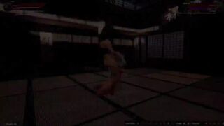 Nelly vs Erika (Naked Fighter 3D)