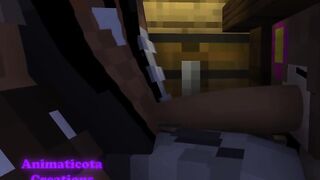 Jenny's Visit Minecraft Sex Mod