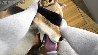 Furry Girl Bondage Blowjob on Boat ISAL 3D