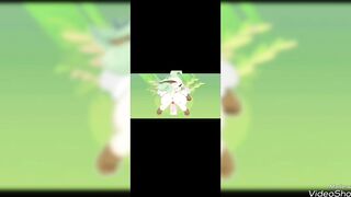 compilação de pokemon