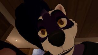 Furry Raccoon Girl Kisses You