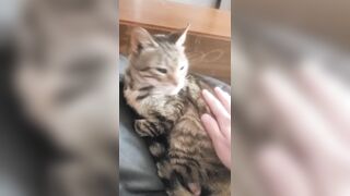 Rubbing My Wife's Pussy