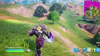 Fortnite: victory royale with 10 eliminations
