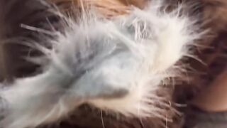 Puppy playtime with KattheKuntt part 1